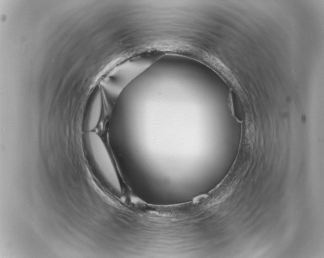 X0000087680530200705251646