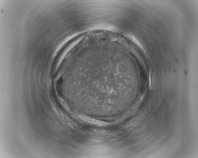 X0000087680531200705251646