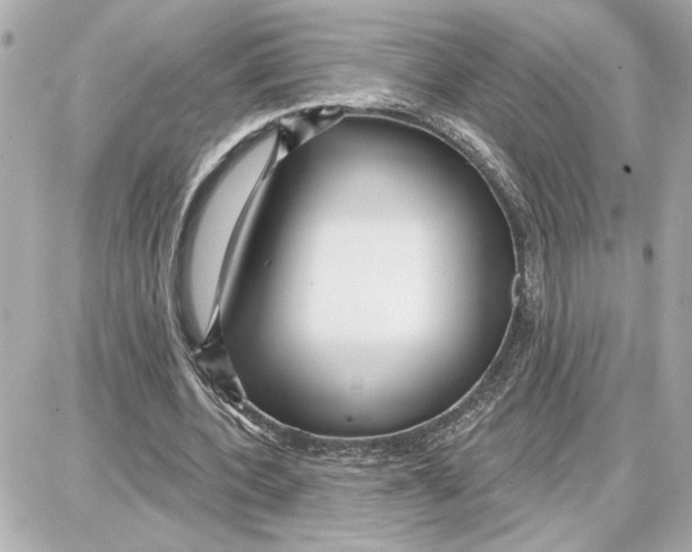 X0000087680532200705251646