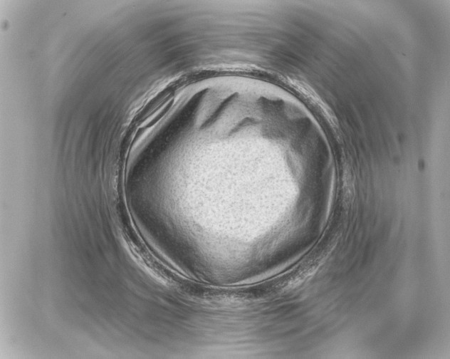 X0000087680533200705251646