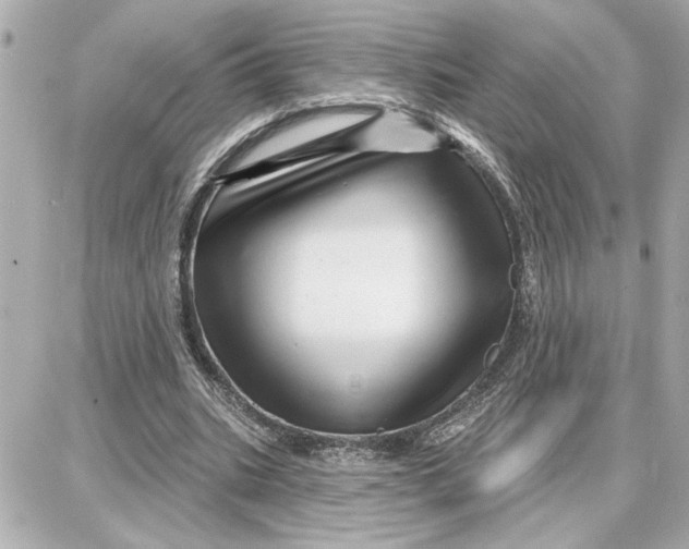 X0000087680535200705251646