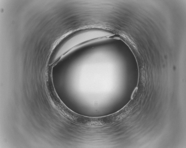 X0000087680536200705251646