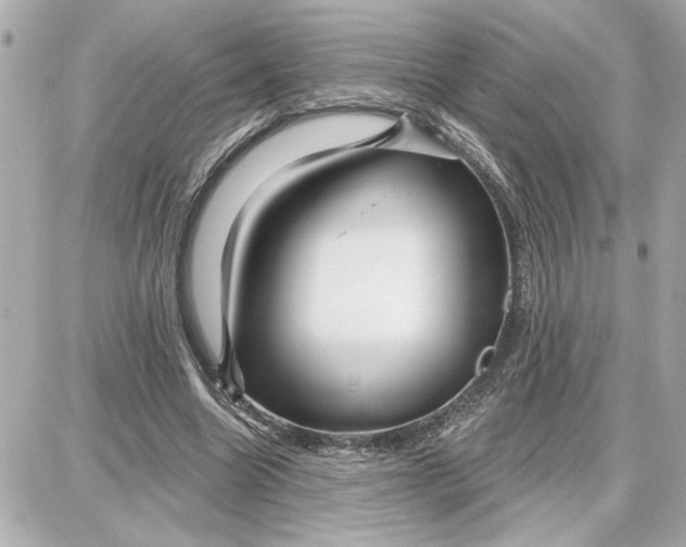 X0000087680538200705251646