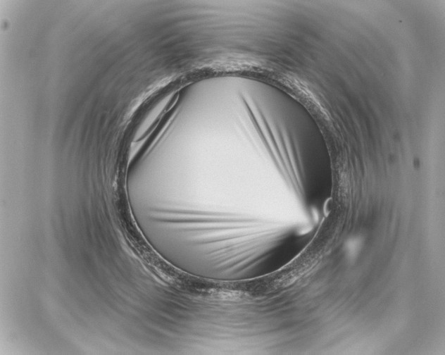 X0000087680539200705251646