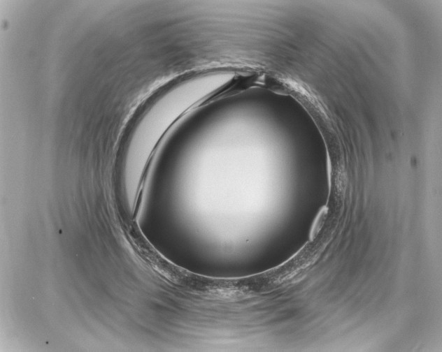 X0000087680540200705251646