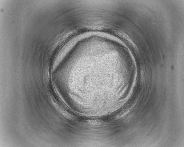 X0000087680541200705251646