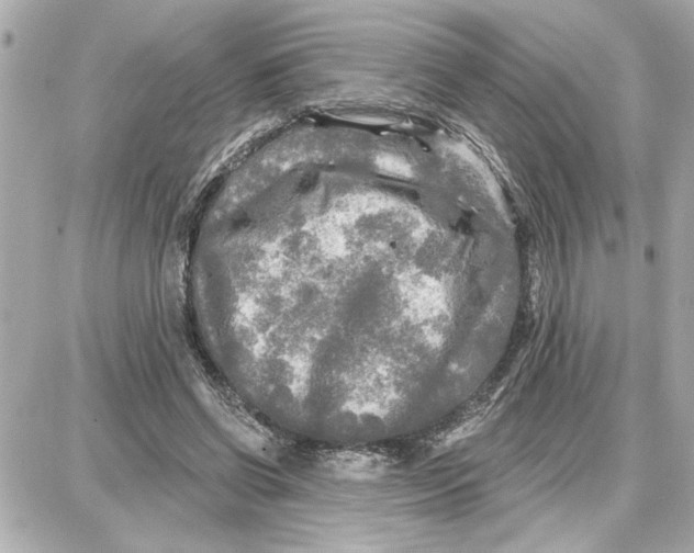 X0000087680542200705251646