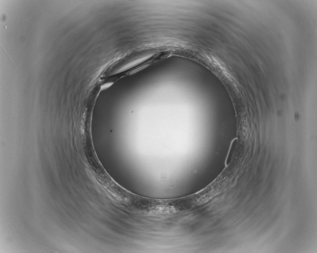 X0000087680543200705251646