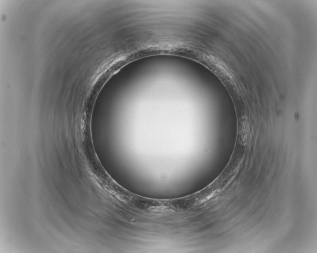 X0000087680544200705251646