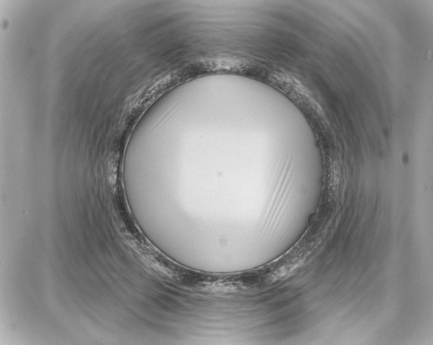 X0000087680545200705251646