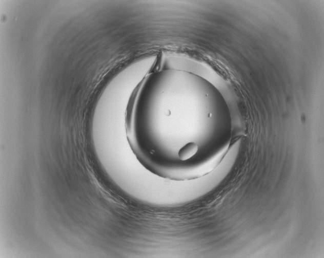 X0000087680546200705251646