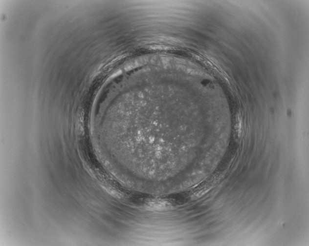 X0000087680547200705251646