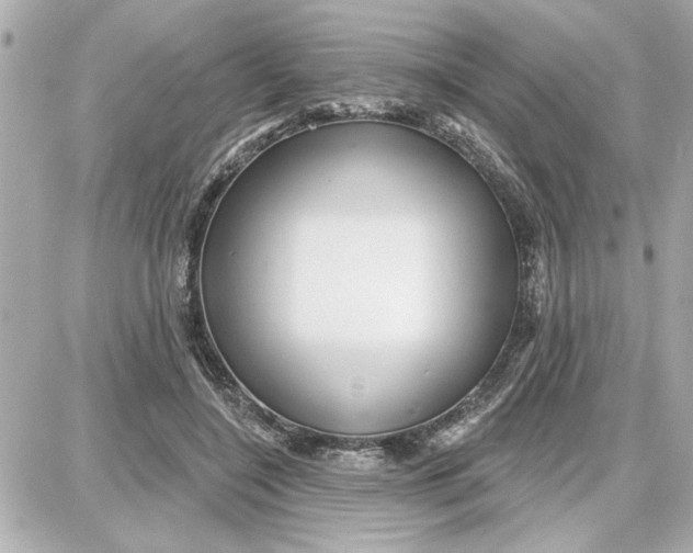 X0000087680548200705251646