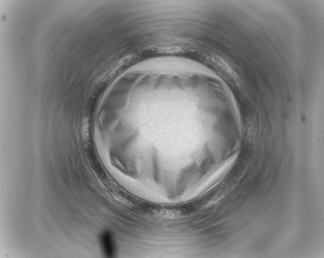 X0000087680549200705251646