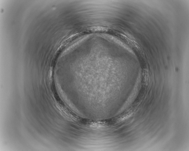 X0000087680550200705251646