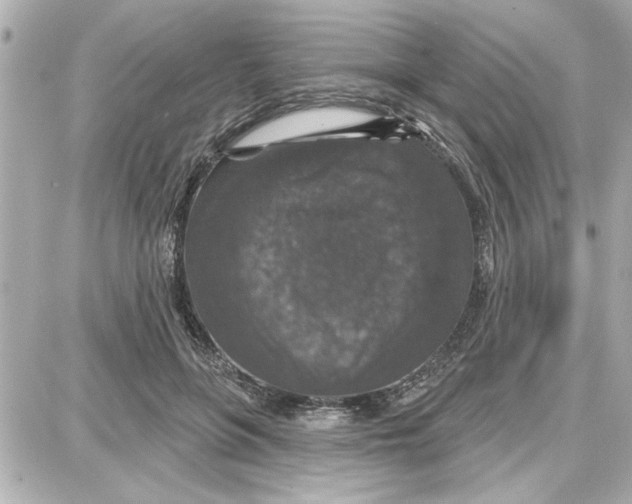 X0000087680551200705251646