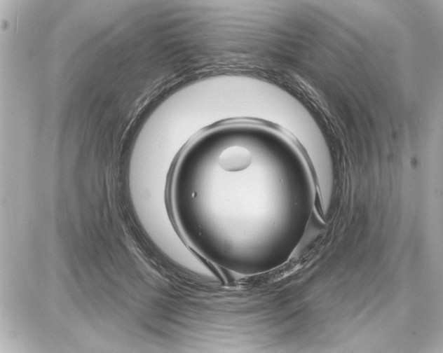 X0000087680552200705251646