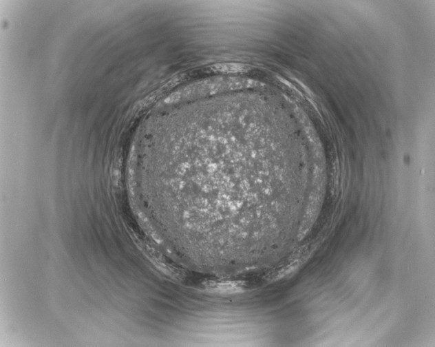 X0000087680553200705251646