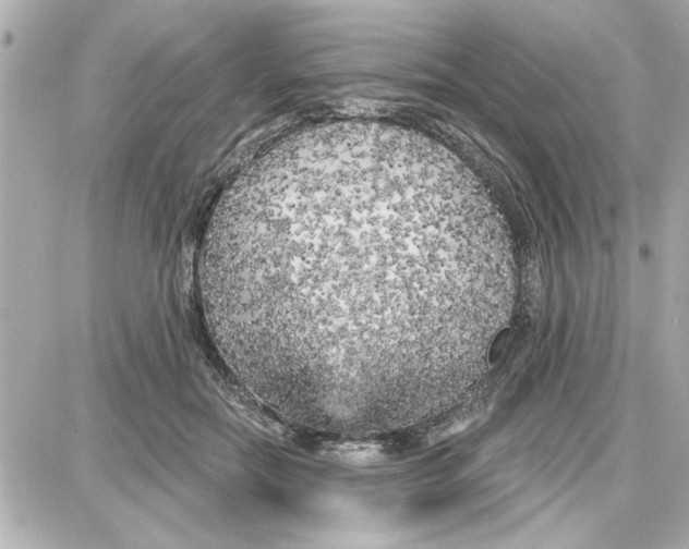 X0000087680554200705251646