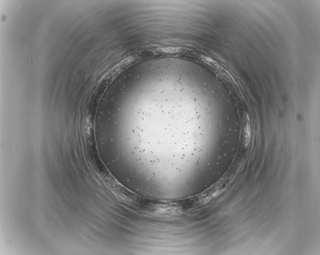 X0000087680555200705251646