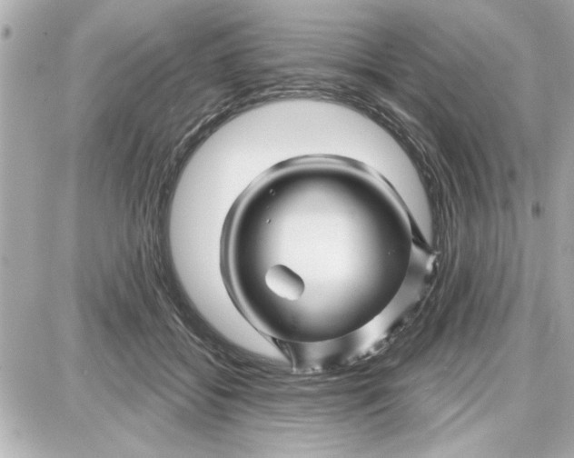 X0000087680556200705251646