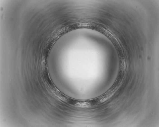 X0000087680557200705251646