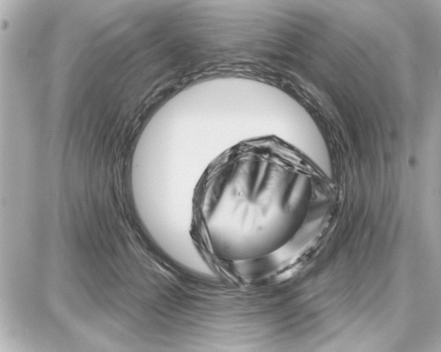 X0000087680558200705251646