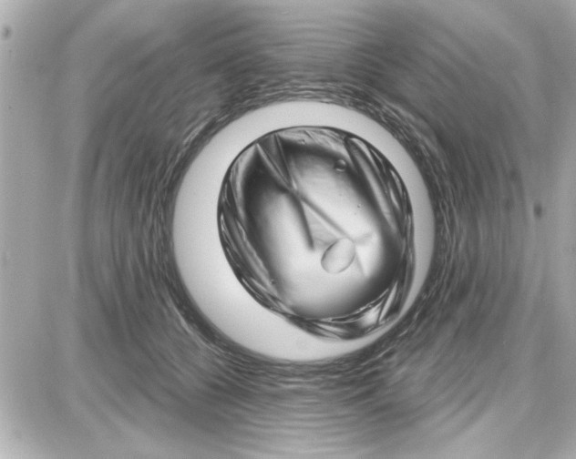 X0000087680560200705251646