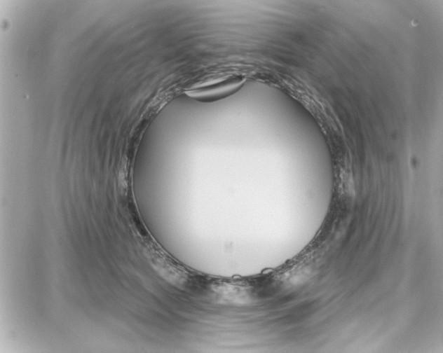 X0000087680561200705251646