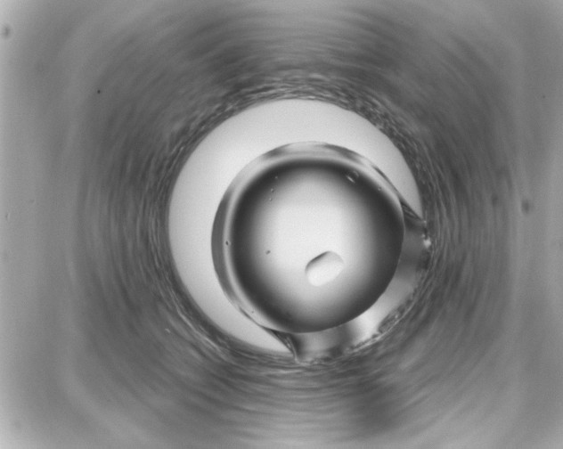 X0000087680562200705251646