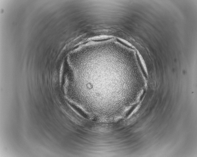 X0000087680563200705251646