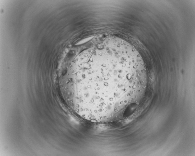 X0000087680565200705251646