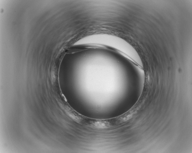 X0000087680566200705251646