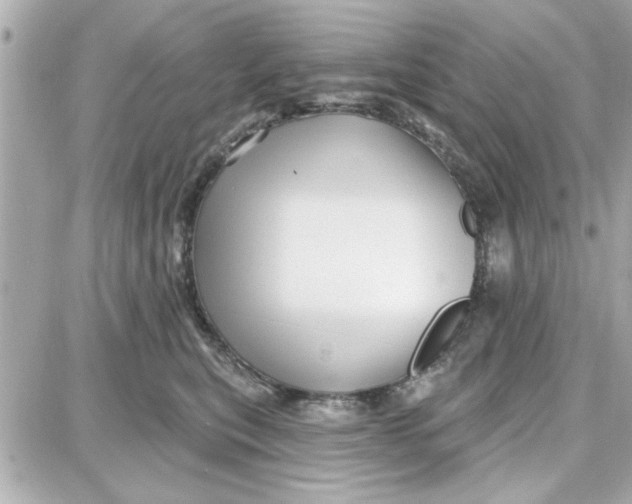 X0000087680567200705251647