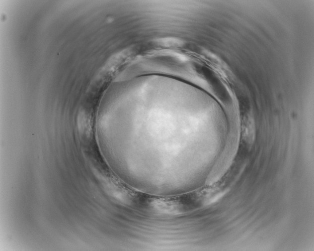 X0000087680568200705251647