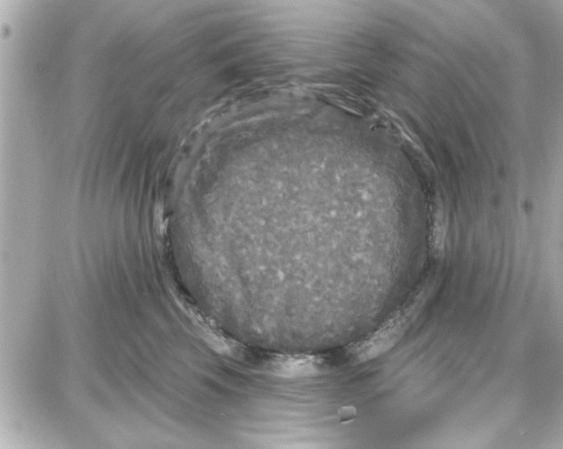 X0000087680569200705251647