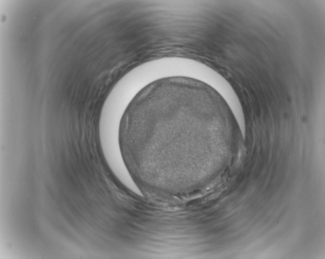 X0000087680570200705251647