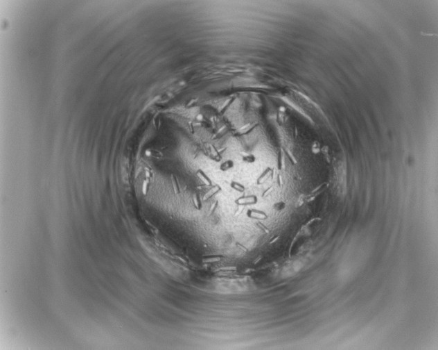 X0000087680571200705251647