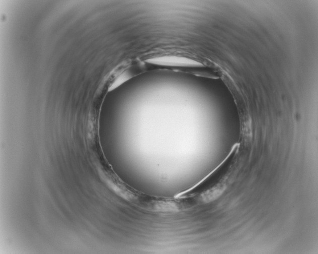 X0000087680572200705251647