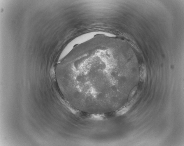 X0000087680573200705251647