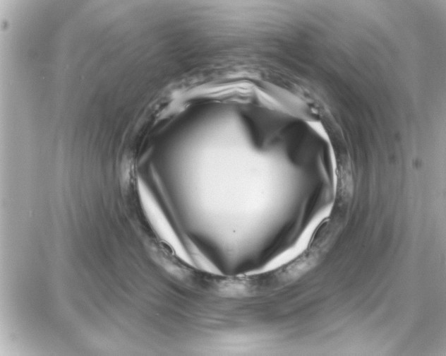 X0000087680574200705251647