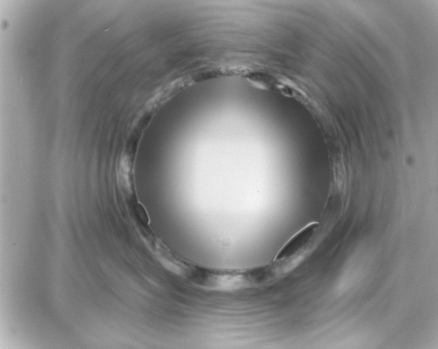 X0000087680575200705251647