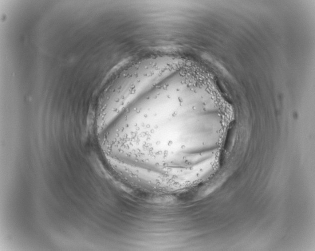 X0000087680576200705251647