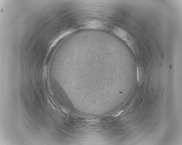 X0000087680579200705251646