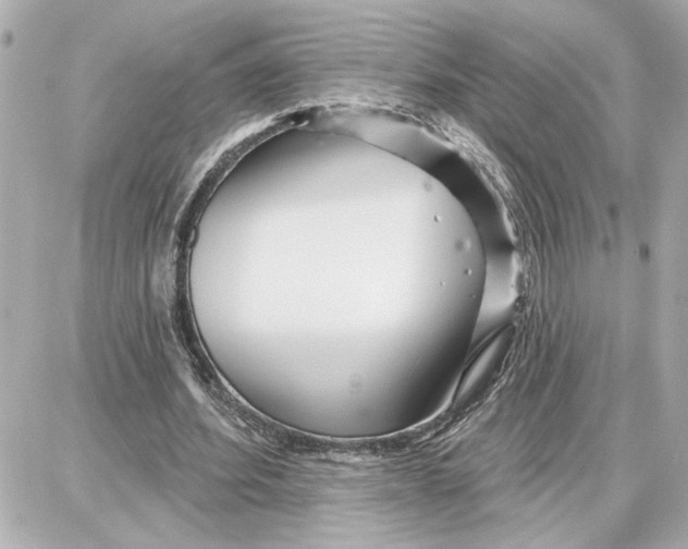 X0000087680580200705251646