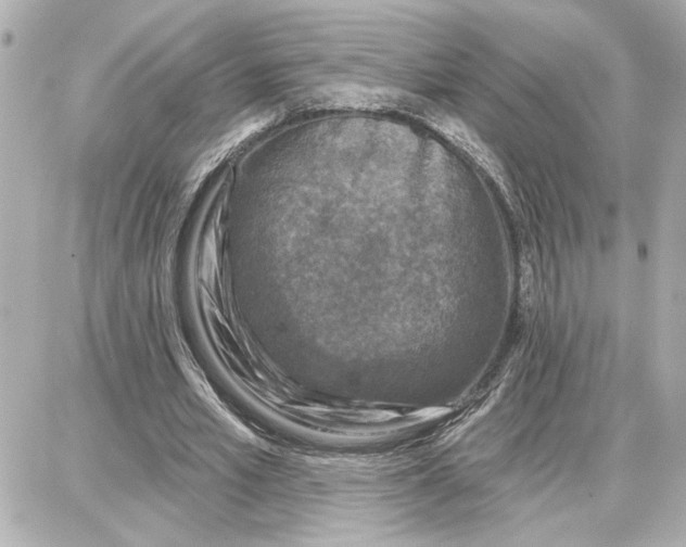 X0000087680581200705251646