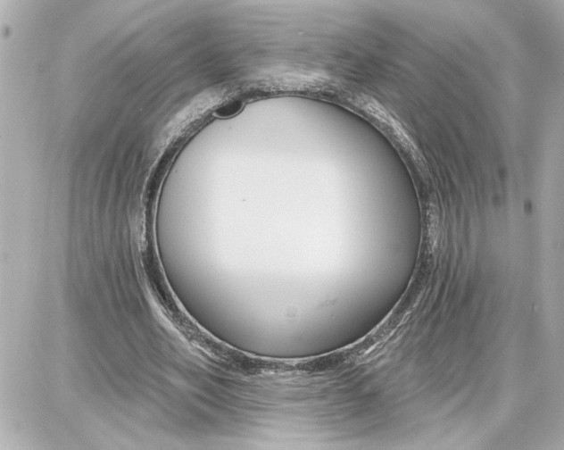 X0000087680582200705251646