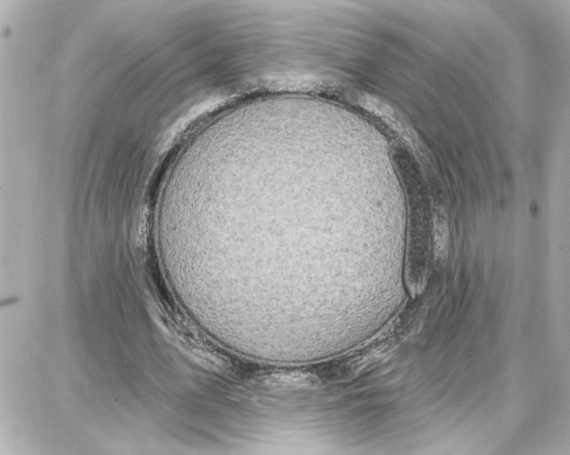 X0000087680583200705251646