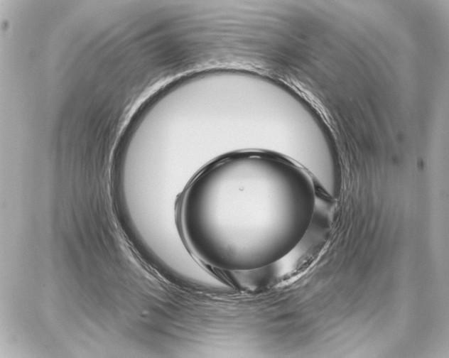 X0000087680584200705251646