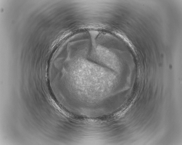 X0000087680585200705251646